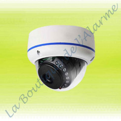 Caméra supplémentaire LBA-CAM2010CPL