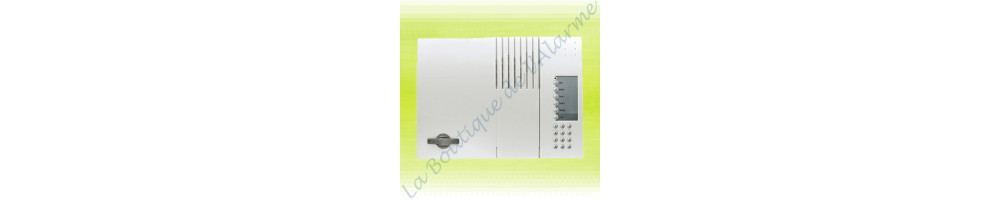 Centrale alarme Daitem 360-21X